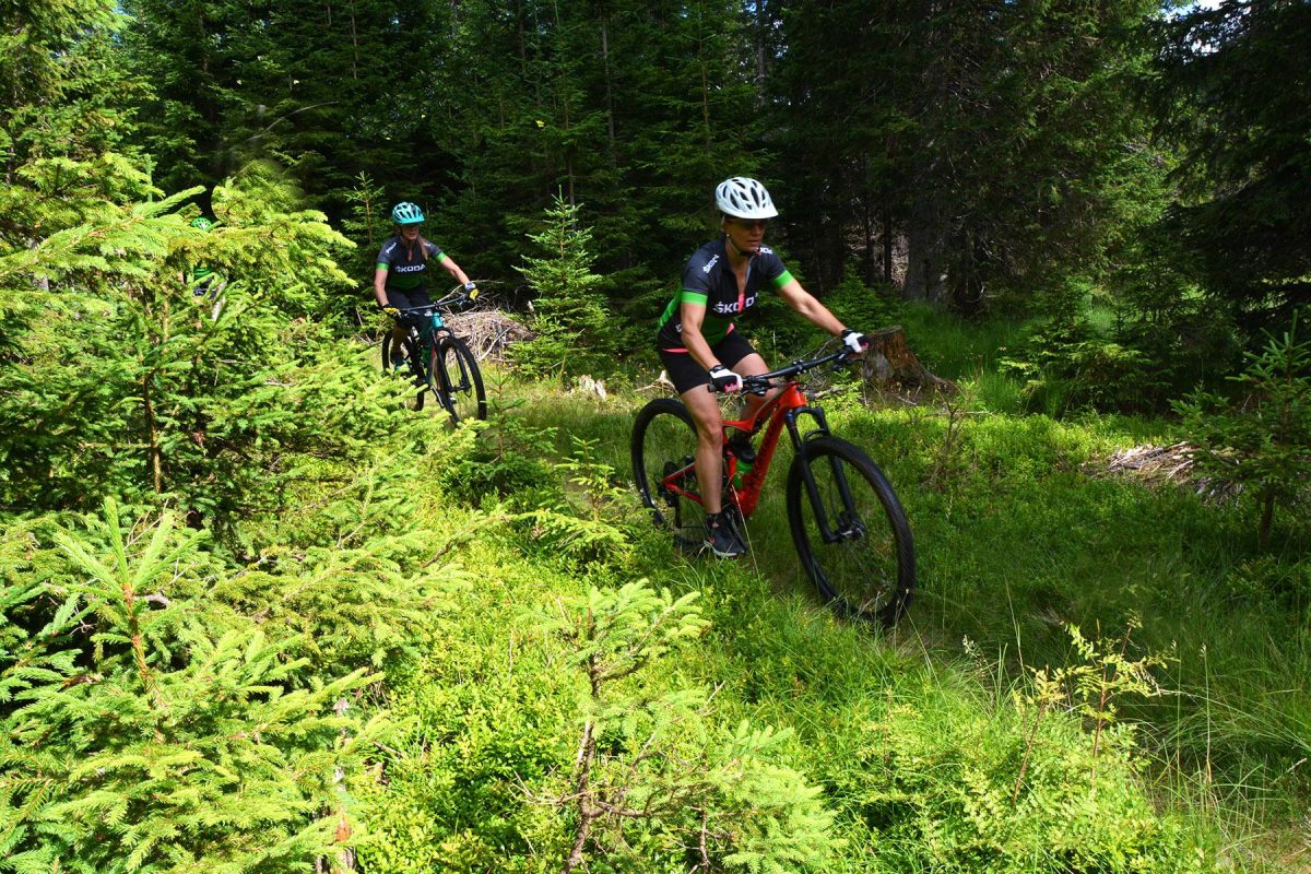 mountain biking enduro slovenia tour