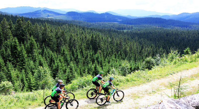 mountain biking tours